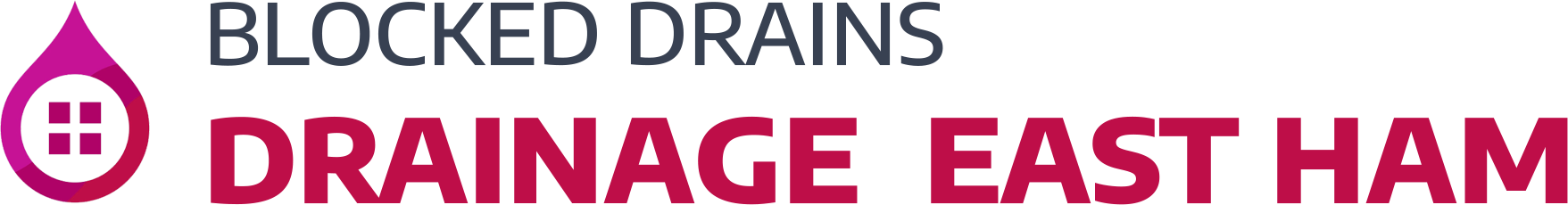 website logo